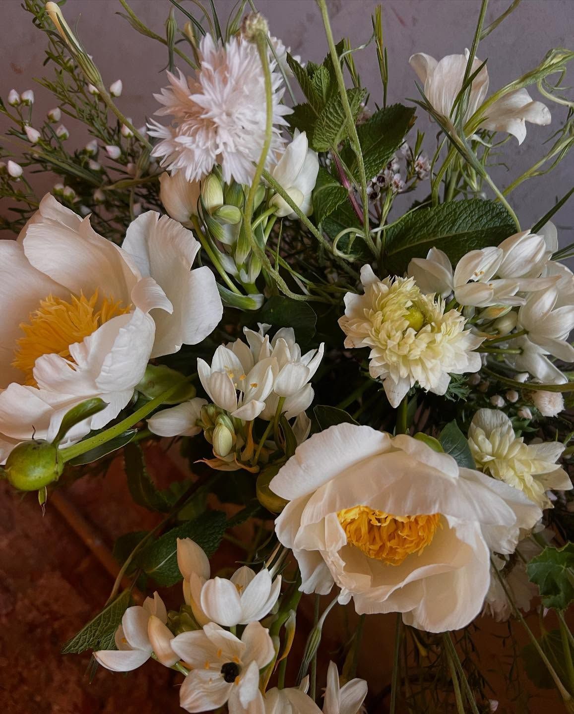 A romantic floral arrangement featuring pale pink peonies, white dahlias, and delicate greenery against a dark background.