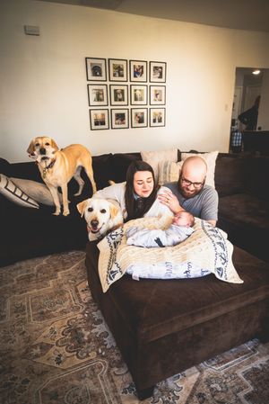 A couple with a newborn baby on a ottoman, flanked by two yellow Labrador dogs in a cozy living room.