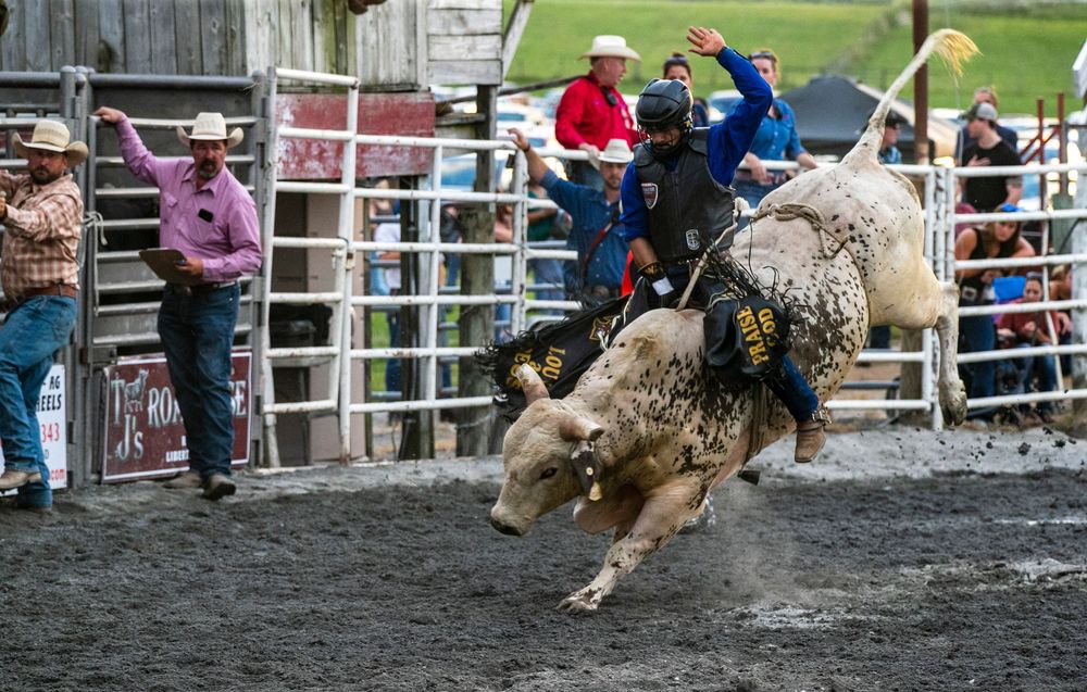 A cowboy competes in bull riding at a rodeo event with spectators watching from the stands.