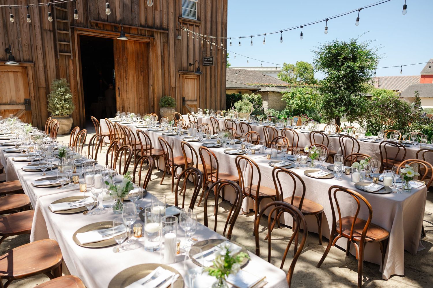 Elegant outdoor wedding reception setup with wooden chairs, white tablecloths, and string lights creating a rustic atmosphere.