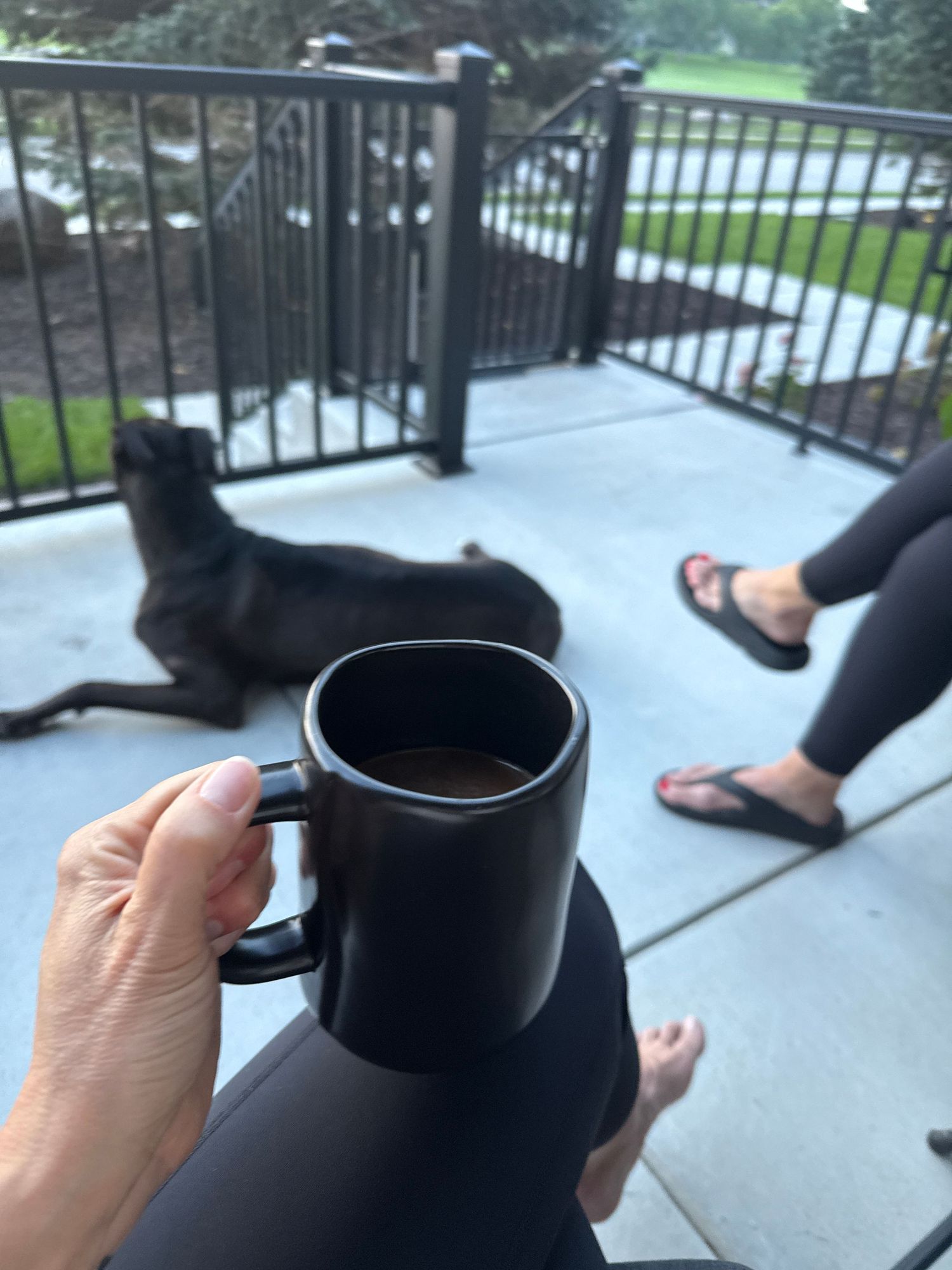 A person's hand holding a black mug, with a black dog resting on a patio in the background.