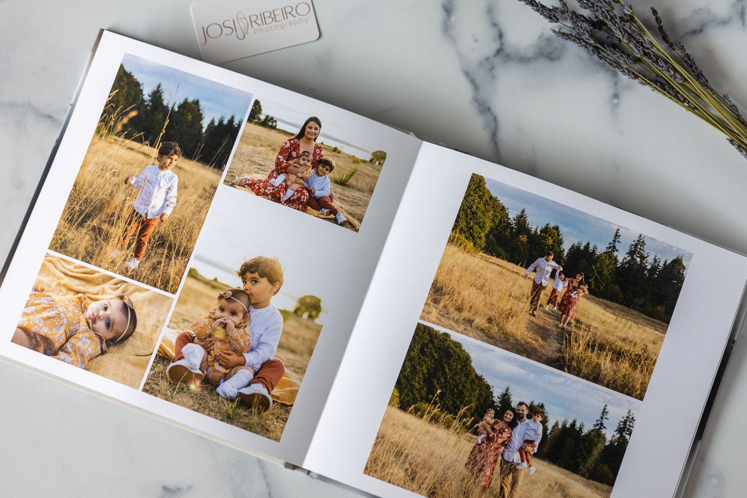 A collection of family photo album pages showing outdoor portraits in golden fields and natural settings during sunset.