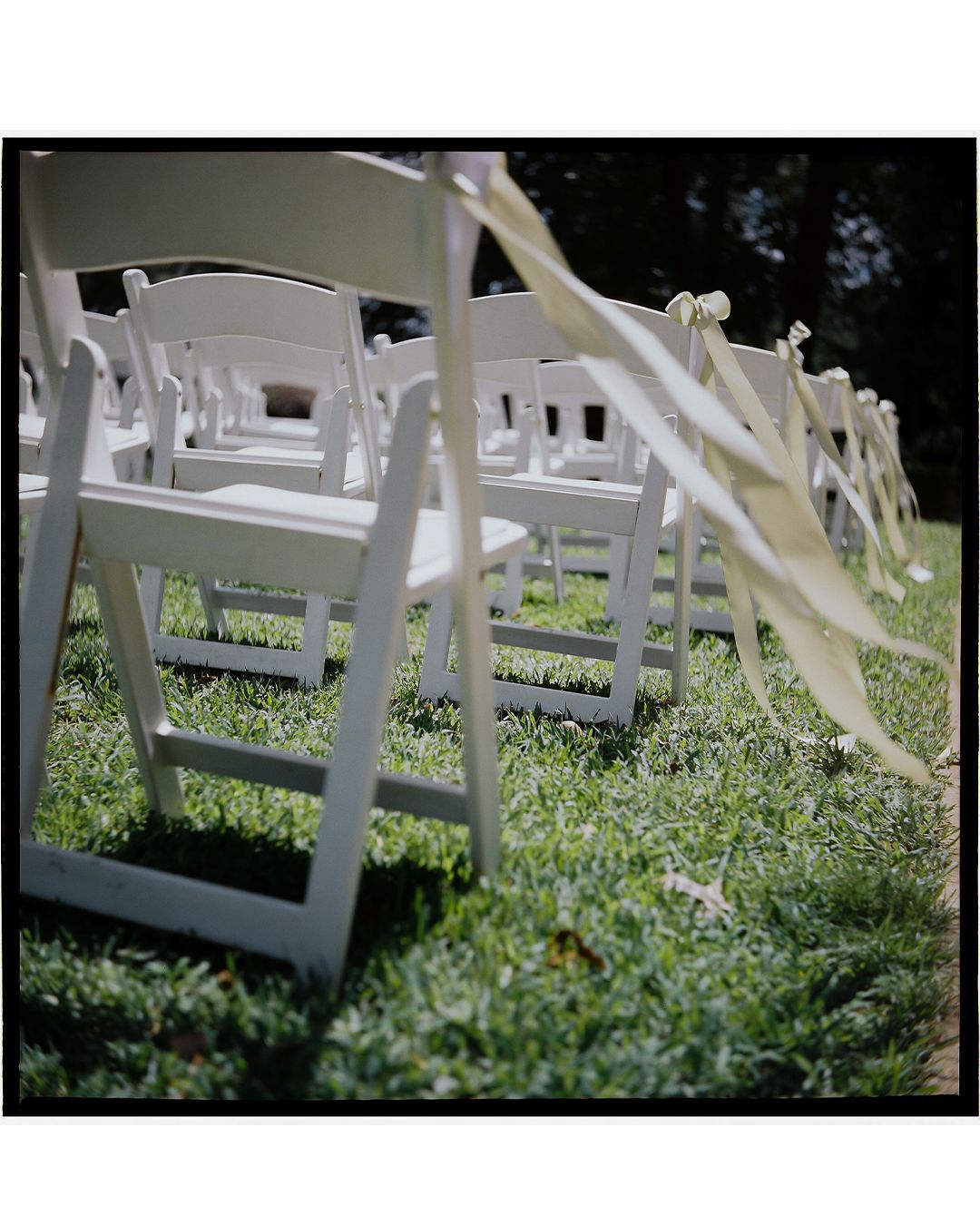 White wooden chairs arranged in rows on green grass for an outdoor ceremony or event.