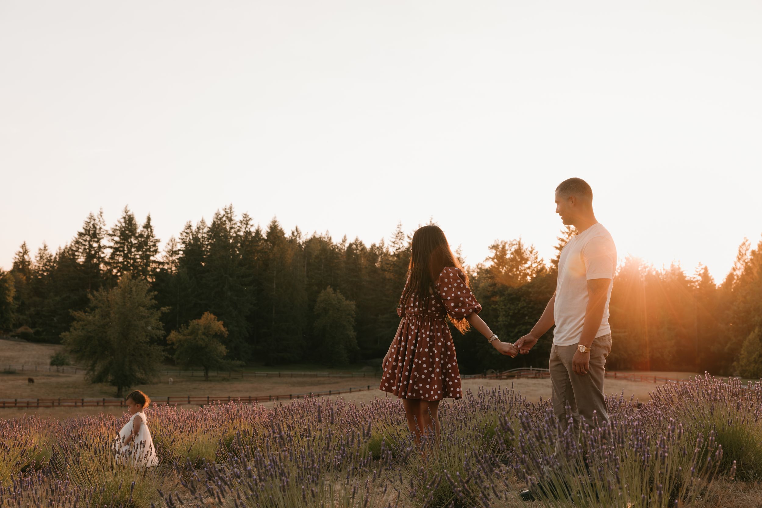 A couple walks hand in hand through a golden field at sunset while their dog follows behind them.