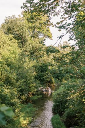Peaceful river scene with overhanging green trees and natural foliage.