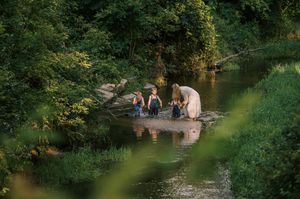 People enjoying a summer day by a tranquil creek surrounded by lush green foliage and trees.