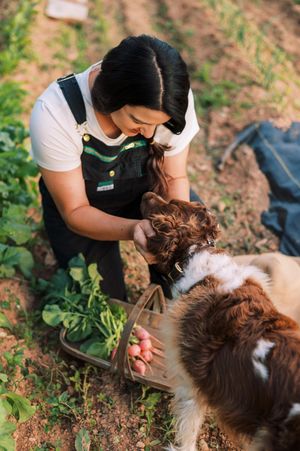 A person in overalls tends to a brown and white dog while gardening outdoors in a natural setting.