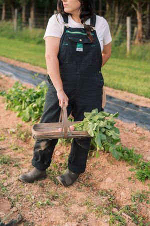 Farmer in dark overalls and boots carries a wooden harvest basket while working in rows of crops on a sunny day.