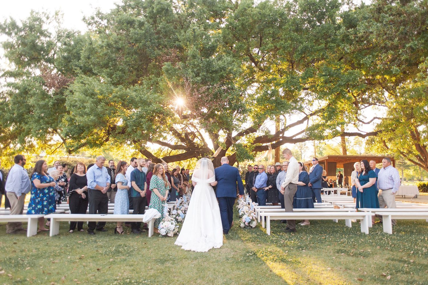 Bride and groom stand before guests at an elegant outdoor wedding ceremony under a large oak tree at golden hour.