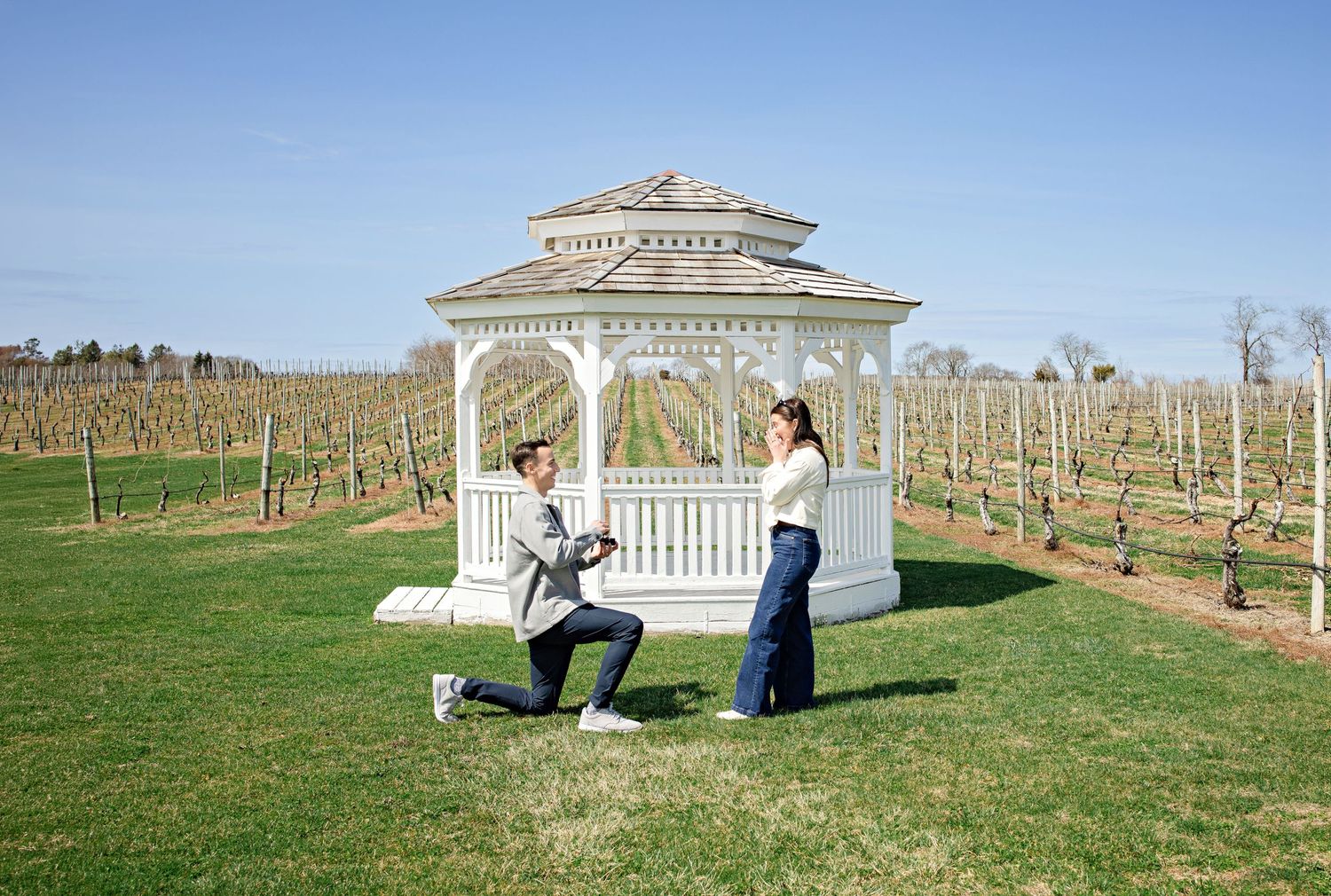 A romantic proposal scene set between rows of grapevines in a scenic vineyard with white flowers and a blanket.