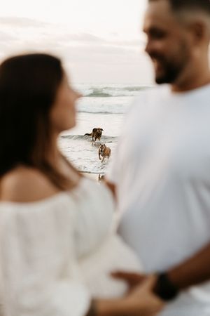 Soft focus shot of couple with dog enjoying sunset at the beach.
