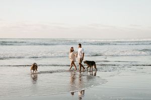 Couple walks their dog along the shoreline at sunset with waves rolling in.
