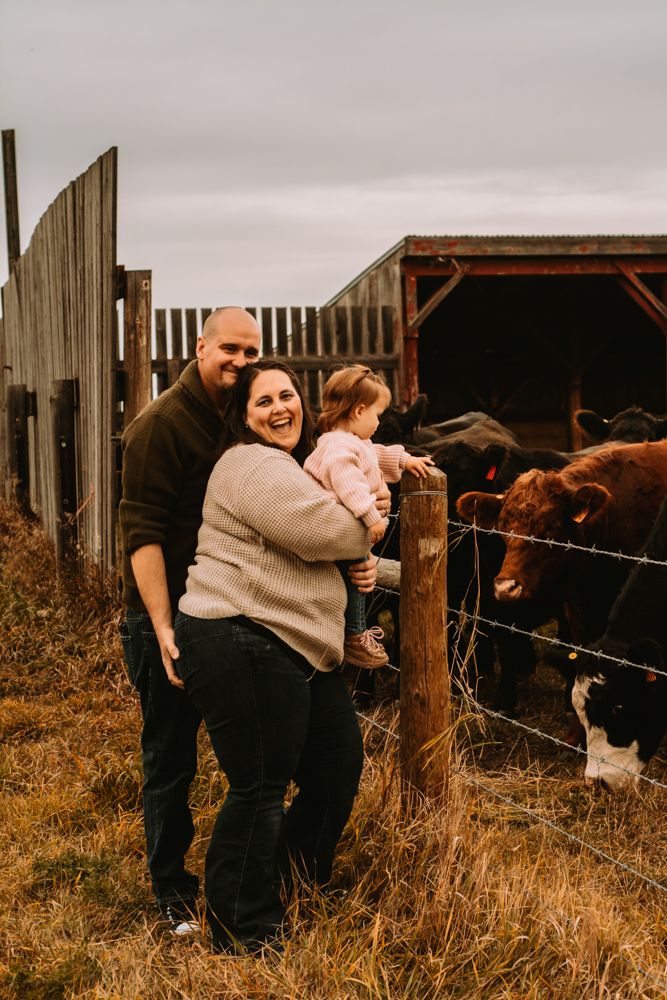 Rural farm scene with cattle in background and wooden fence structures.