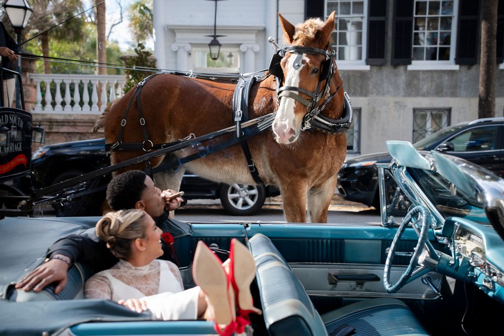 A series of connected images showing someone riding and interacting with a brown horse in an urban setting.