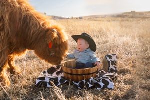 Large fluffy brown dog greets small baby in cowboy hat sitting on blanket in autumn field.
