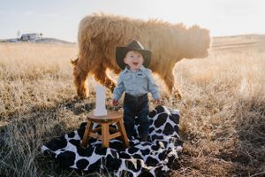 Country scene with wooden chair and cow print blanket against golden field.