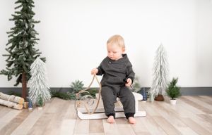 Winter holiday scene with small wooden sled and decorative trees on hardwood floor.