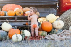 Autumn styled photo with assorted pumpkins and gourds arranged on wooden steps.