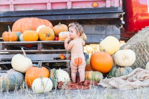 Rustic autumn display of orange and white pumpkins arranged at a seasonal market.