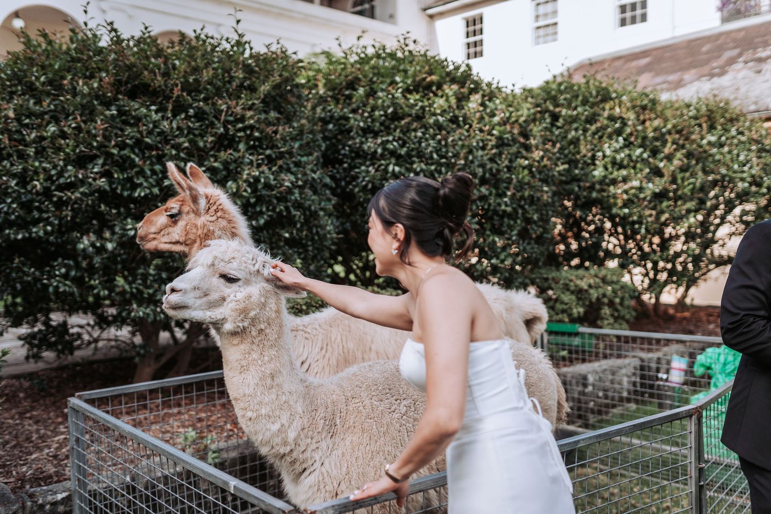 Wedding photo featuring playful moment with architecture and greenery in background.