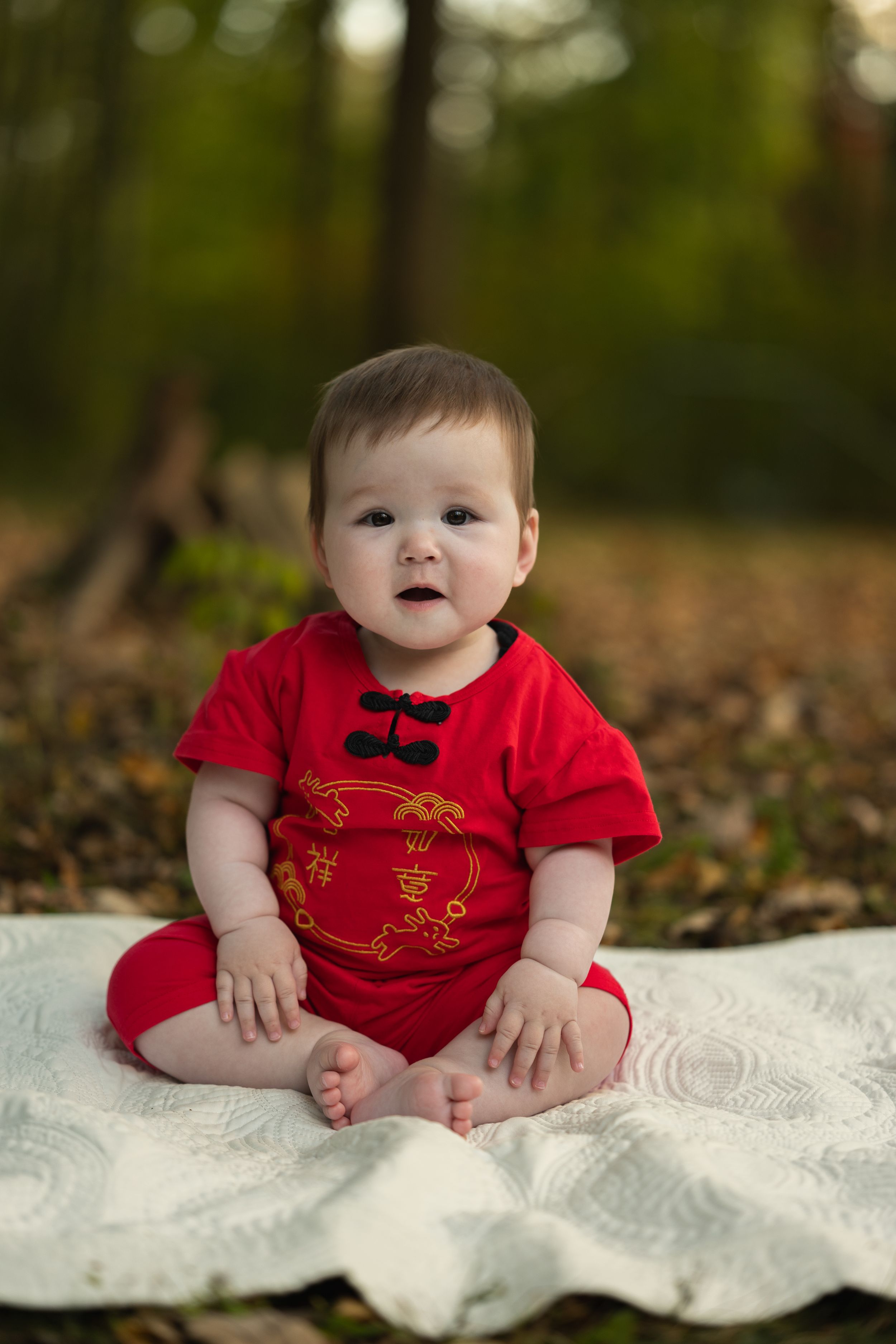 A baby in a red traditional Chinese dress sits on a white blanket surrounded by autumn leaves.