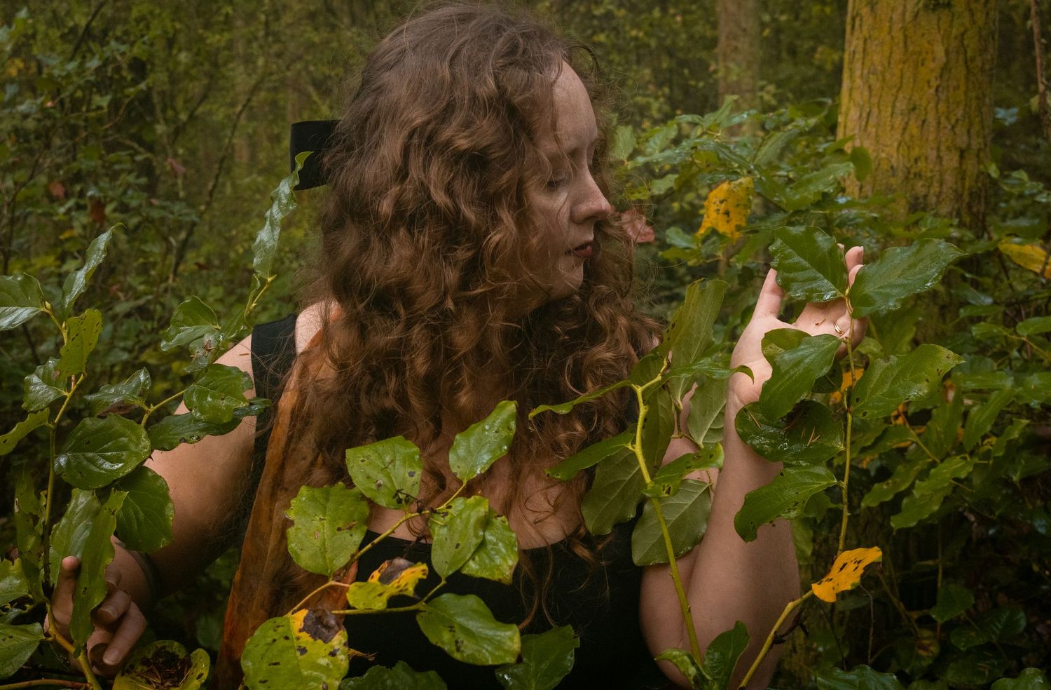 Woman portrait in the plants in the forest.