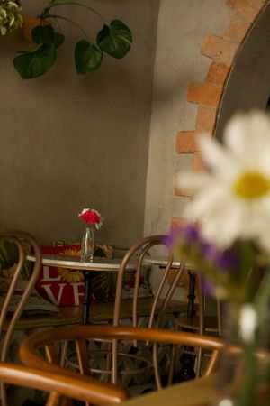 Food and Hospitality promotional photography for small businesses, by Izya Lebtahi. For Instagram. Puerto Rico, USA.