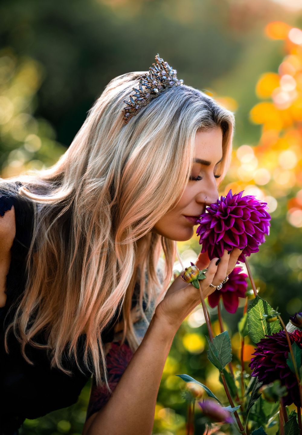 Dreamy garden scene with purple dahlia flowers in golden sunlight creating a romantic summer atmosphere.