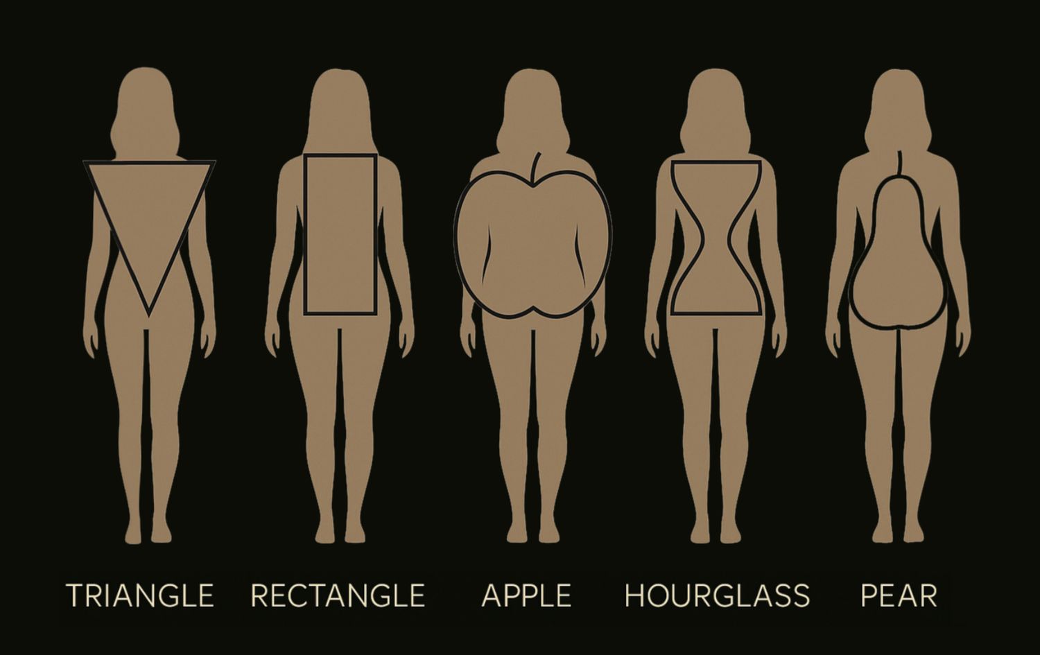 Visual guide showing five female body types—Triangle, Rectangle, Apple, Hourglass, and Pear—each with a simple shape overlay for reference.