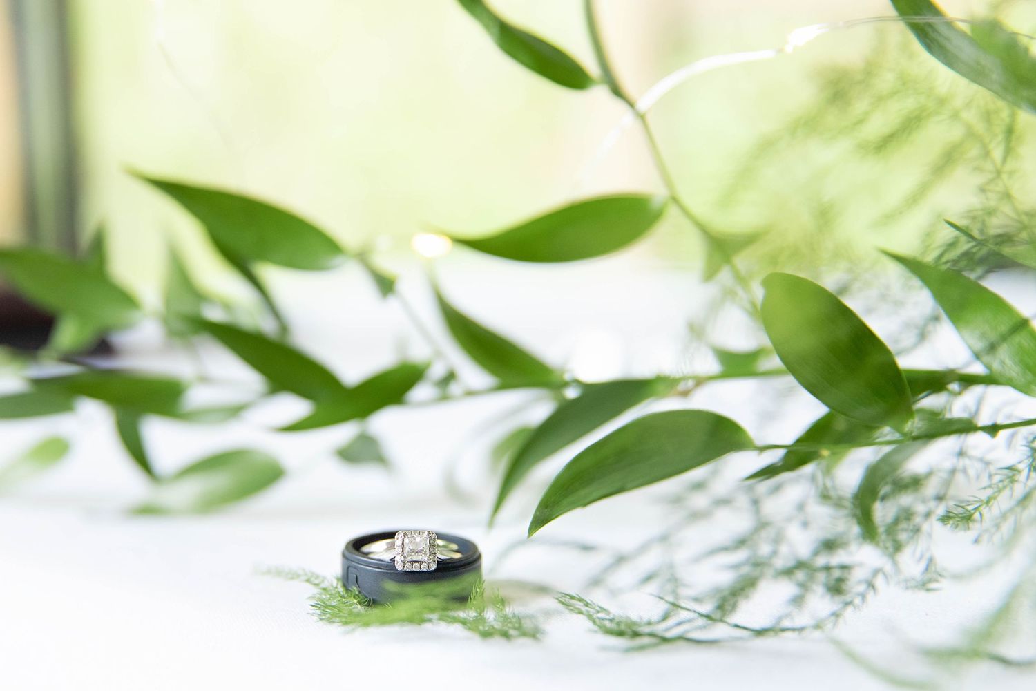 Wedding bands sit among delicate green leaves and white baby's breath flowers in soft natural lighting.