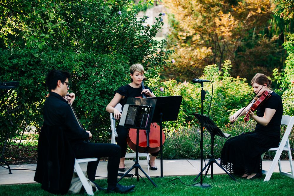 Three musicians perform classical music in a garden setting during an outdoor wedding ceremony.