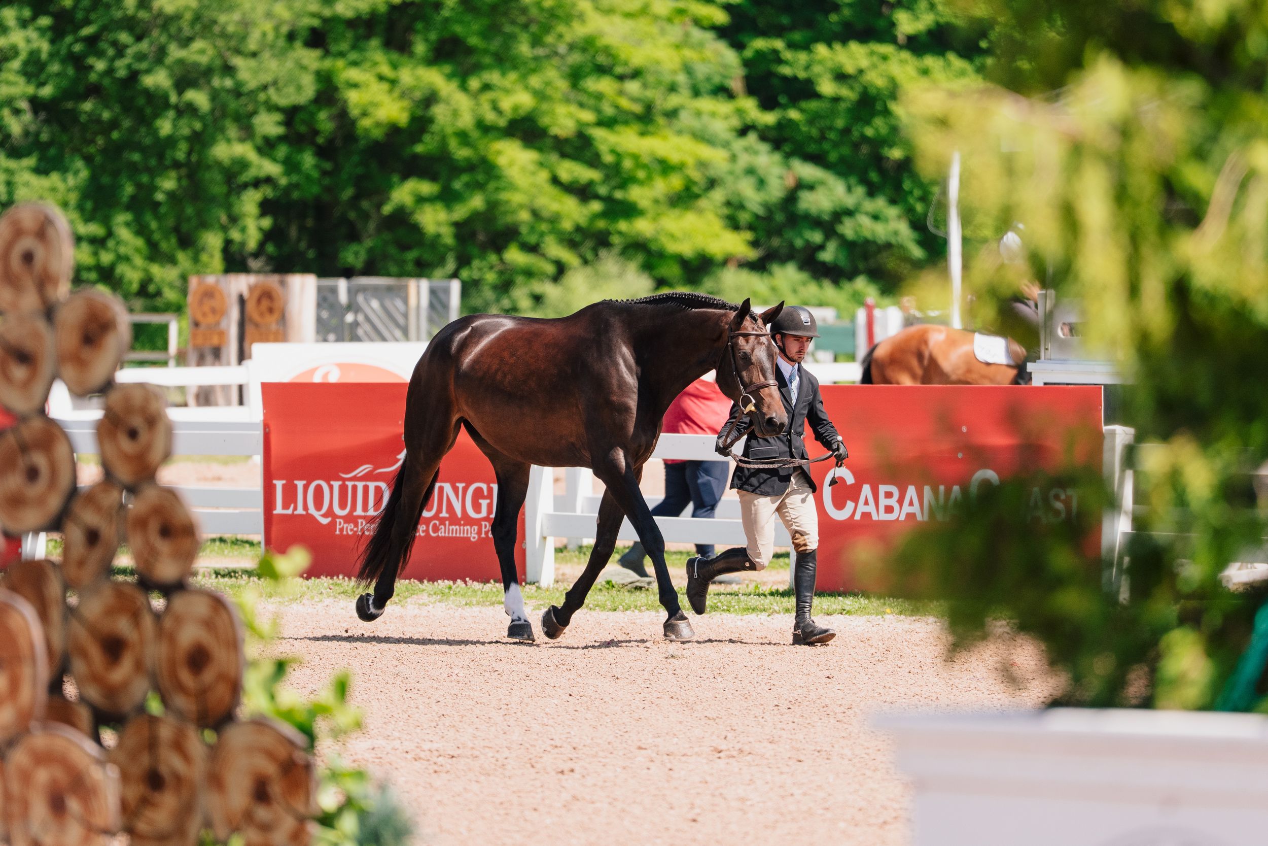 A rider leads a dark bay horse past a red banner at an outdoor equestrian competition surrounded by lush green trees.