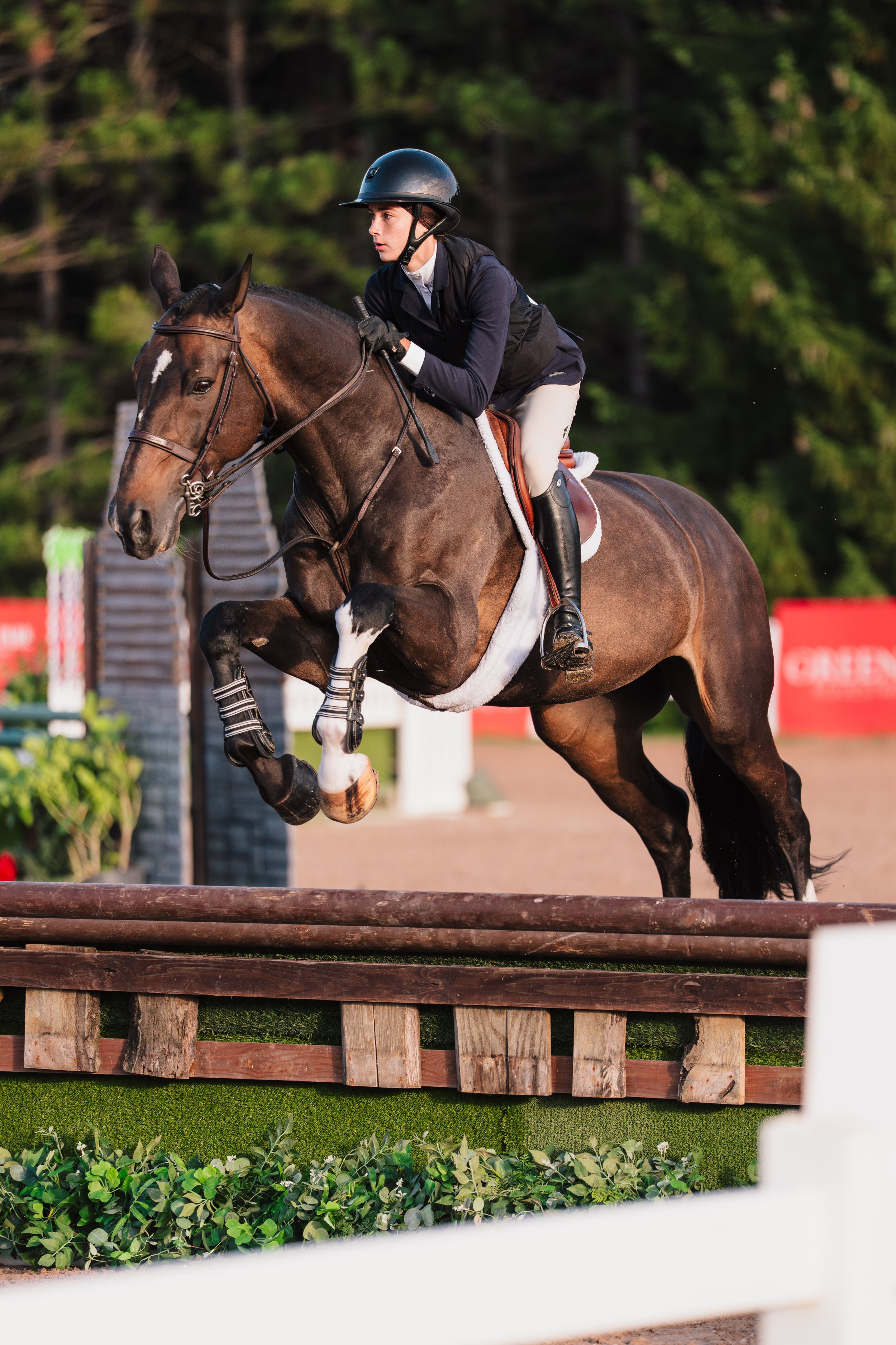 Equestrian rider in helmet jumping a dark bay horse over a fence in a show jumping competition.