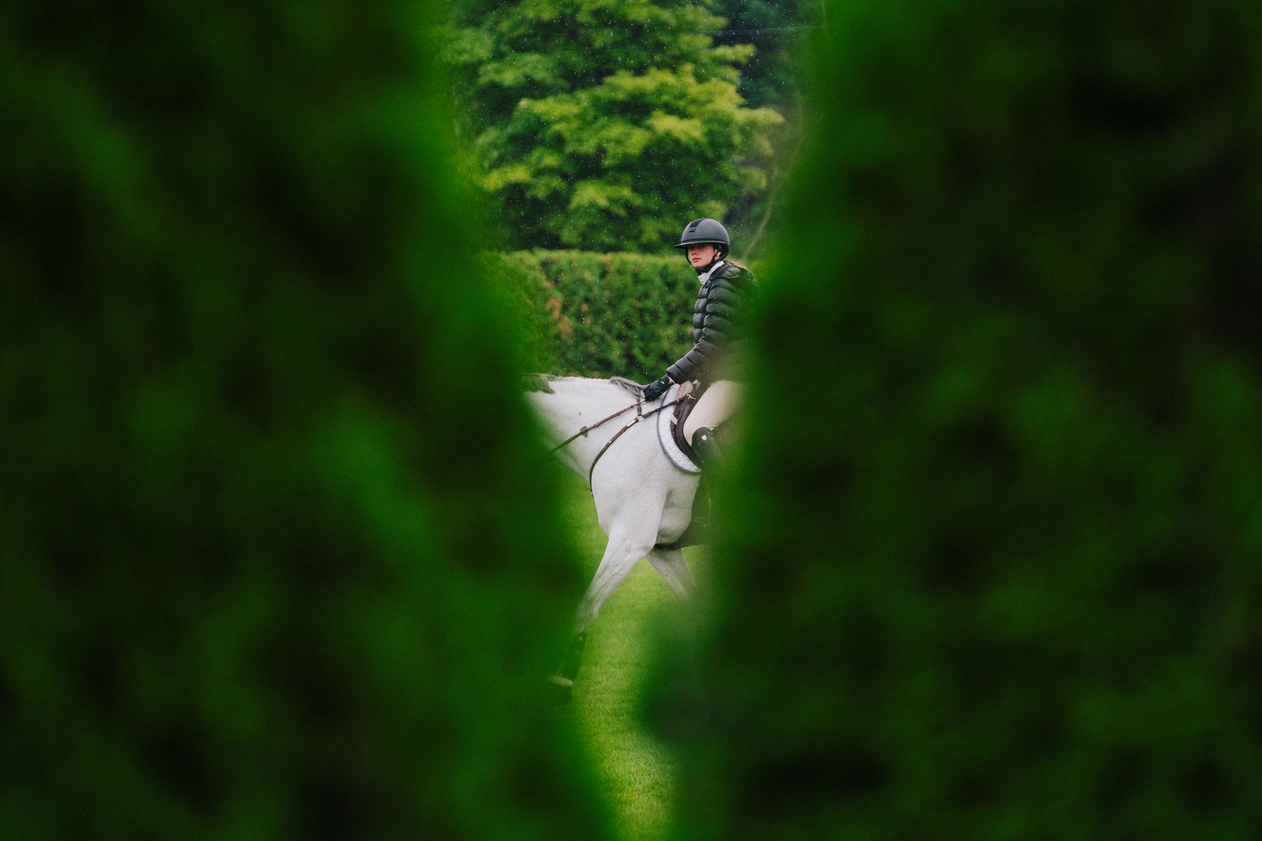 Close up of soft green foliage with a blurred natural background creating a peaceful nature scene.