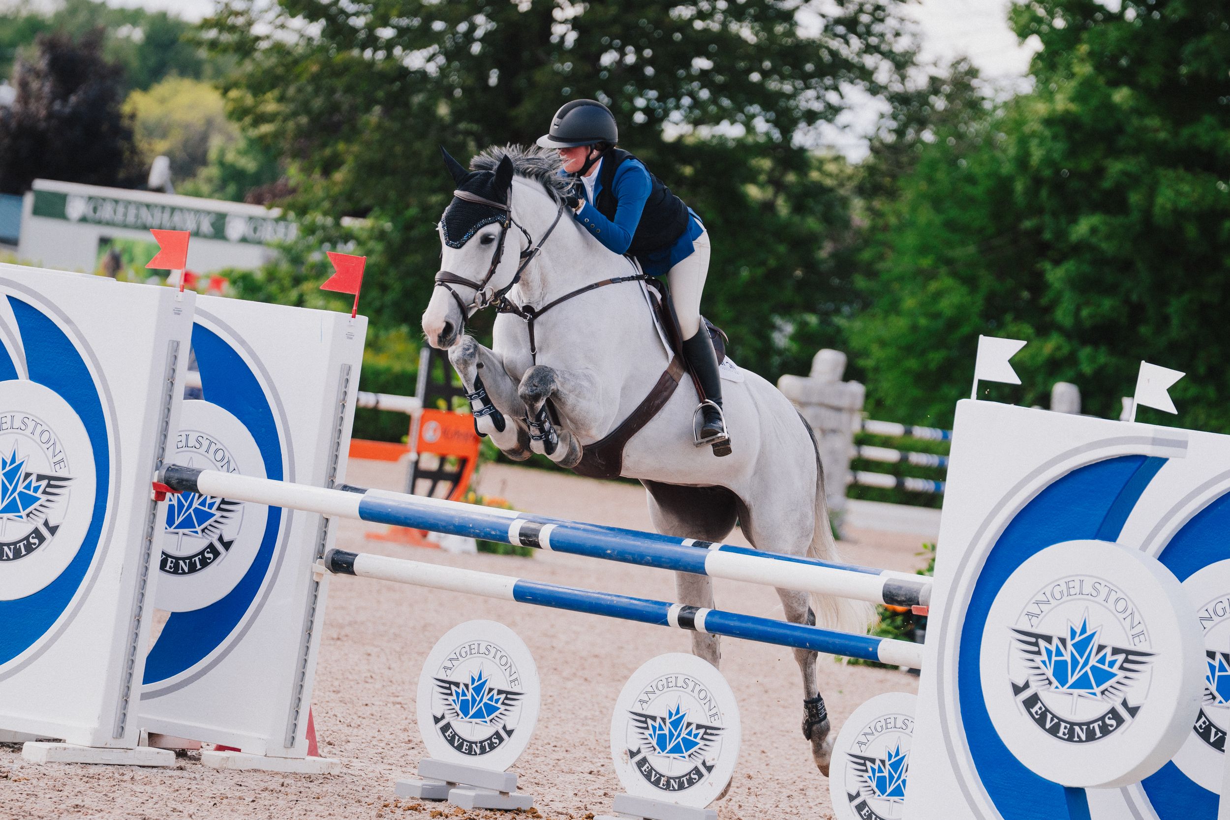 Equestrian show jumping course with blue and white striped poles and obstacles arranged in an outdoor arena.