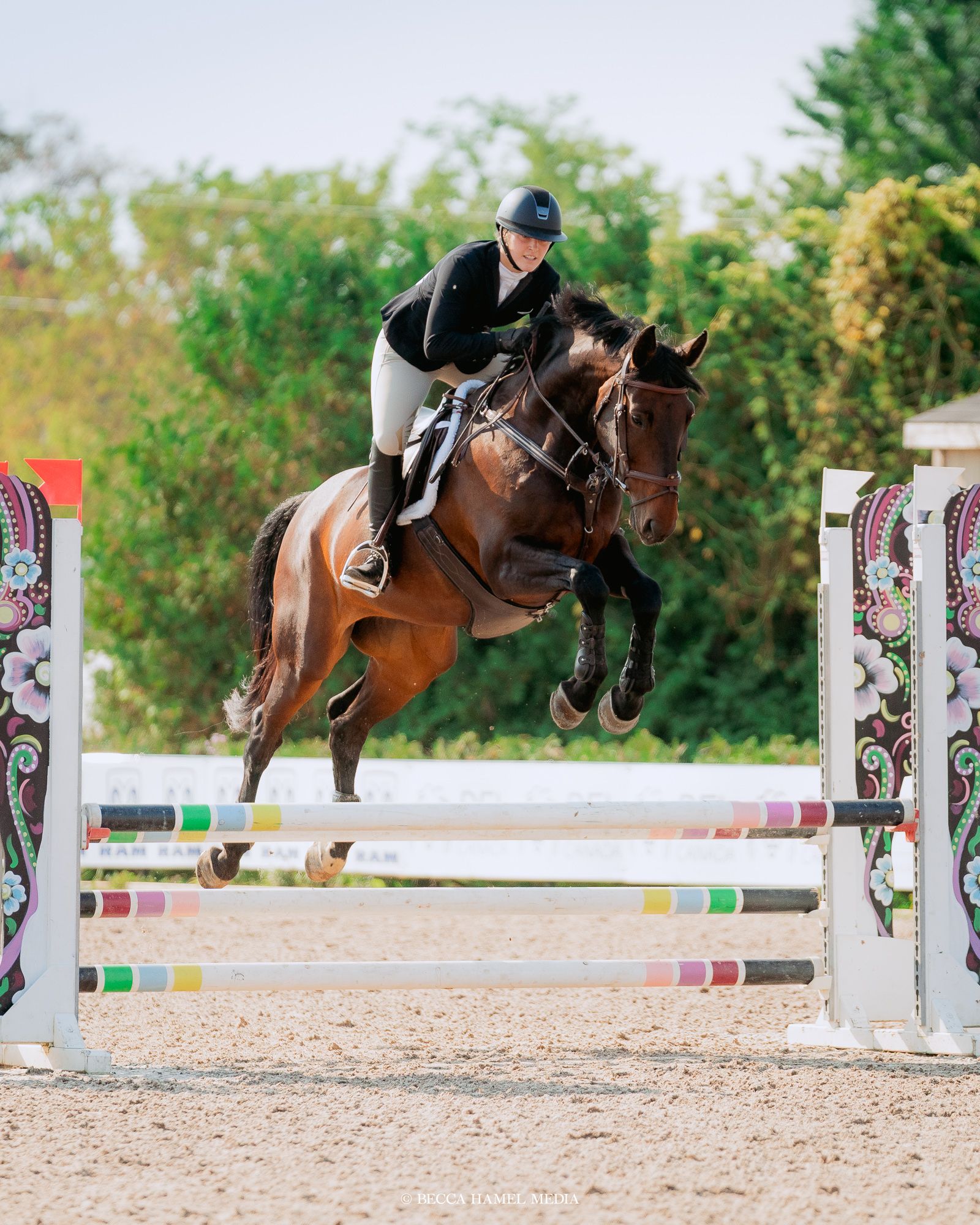 Equestrian rider in black jacket jumping over show jumping fence on chestnut horse in outdoor arena.