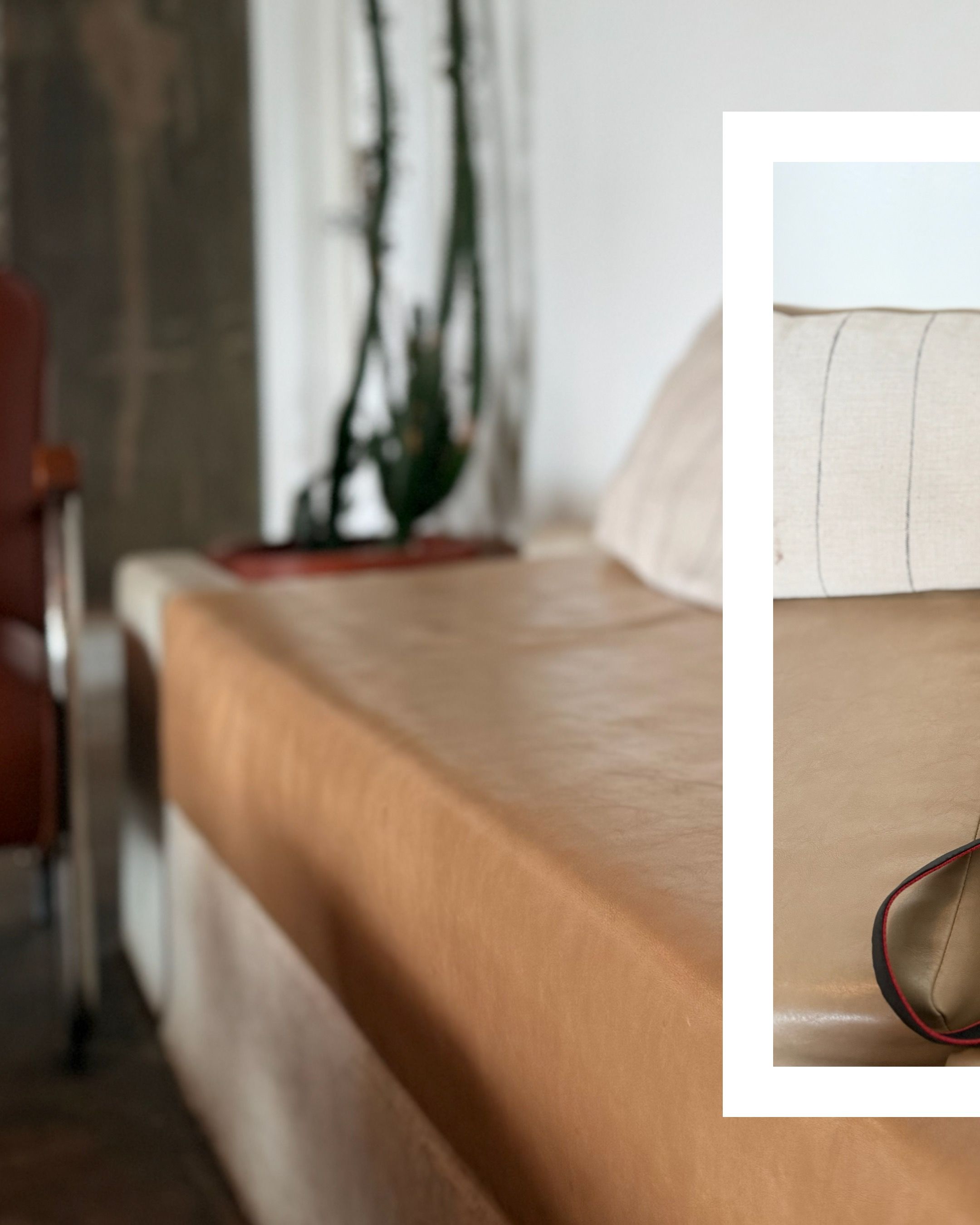 Wooden bench with minimalist decor and plants in a modern interior setting.