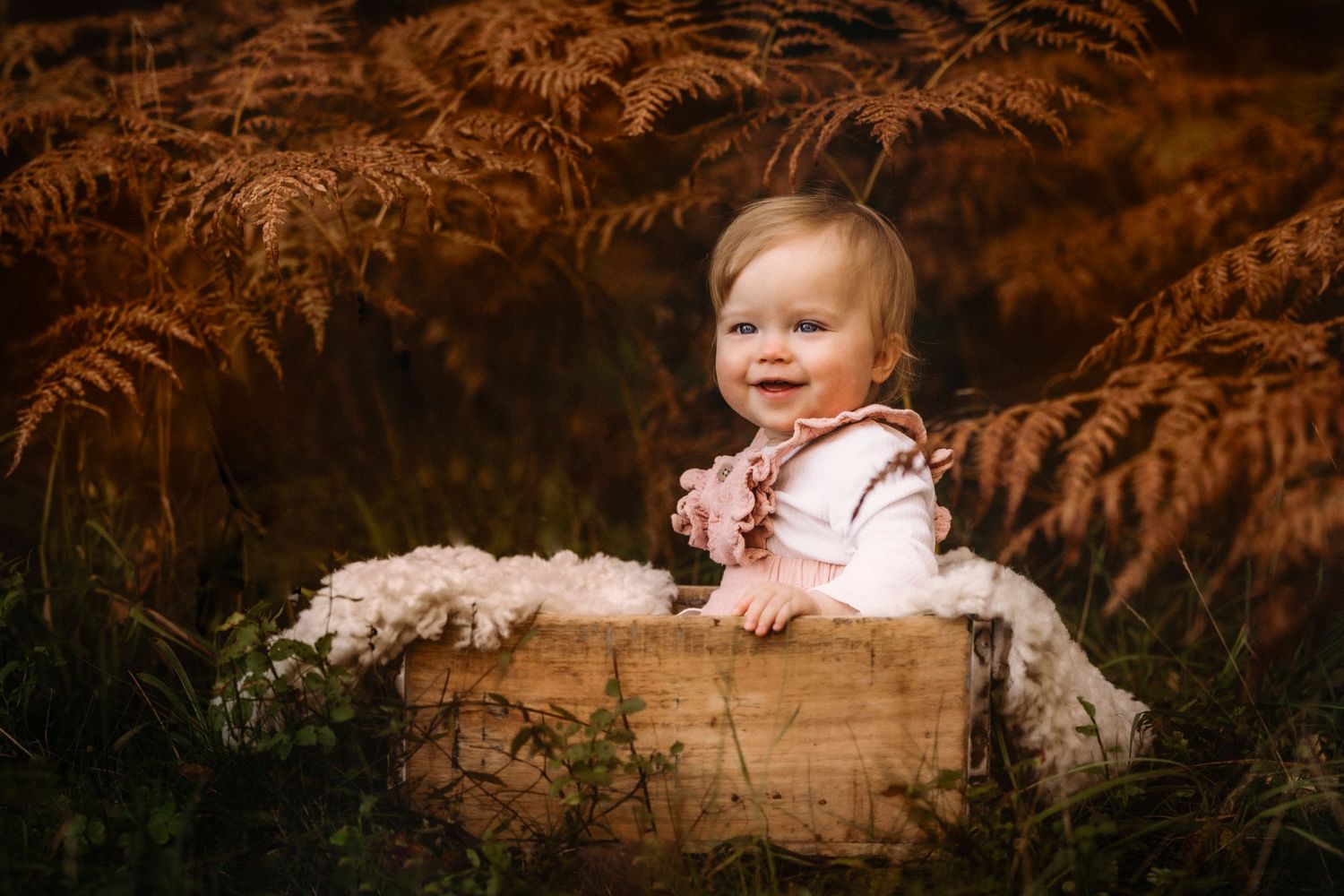 Baby sitting in wooden crate surrounded by autumn ferns in moody forest setting.