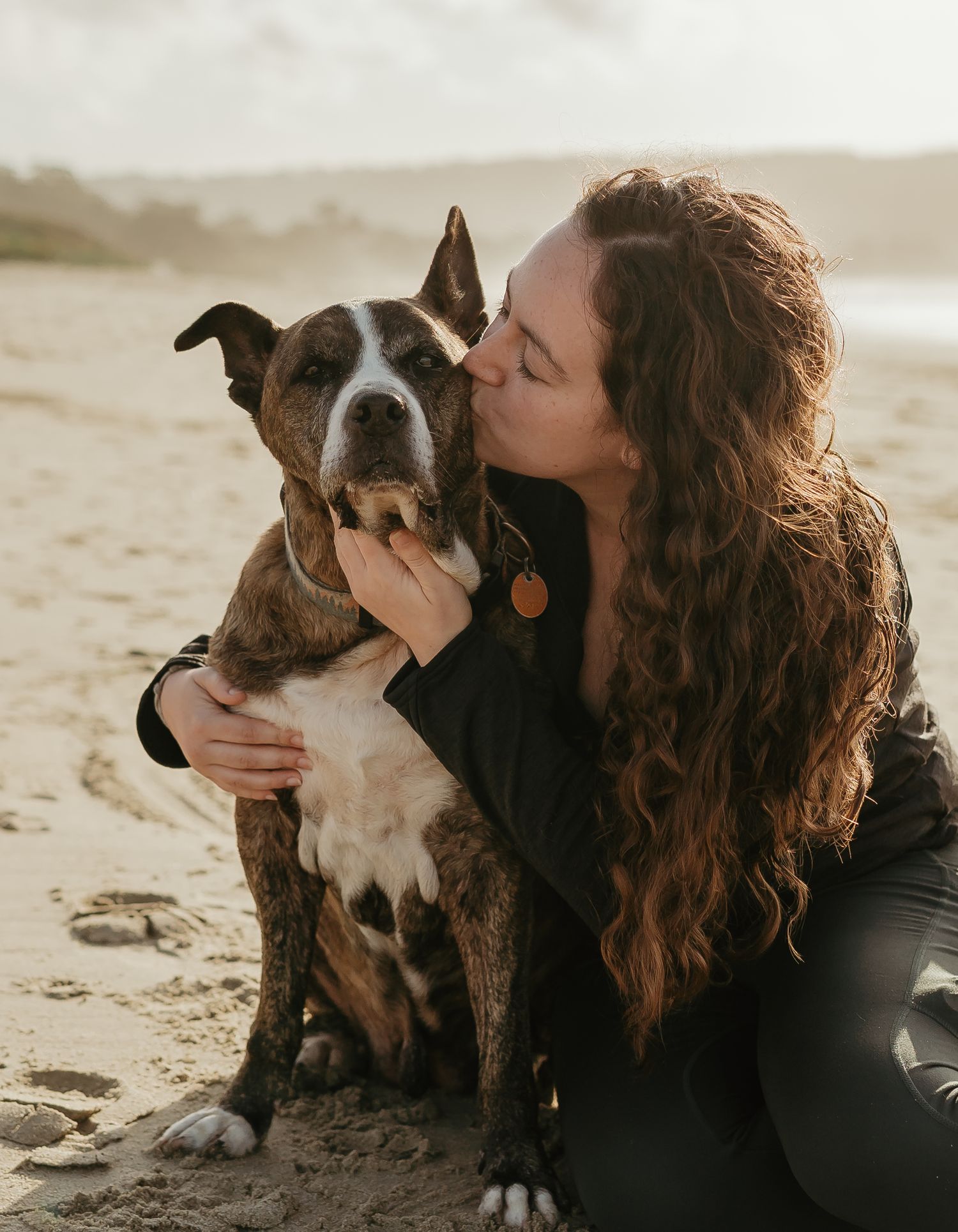 A loving embrace between a person with long curly hair and their brown and white pit bull mix dog on a beach at sunset.
