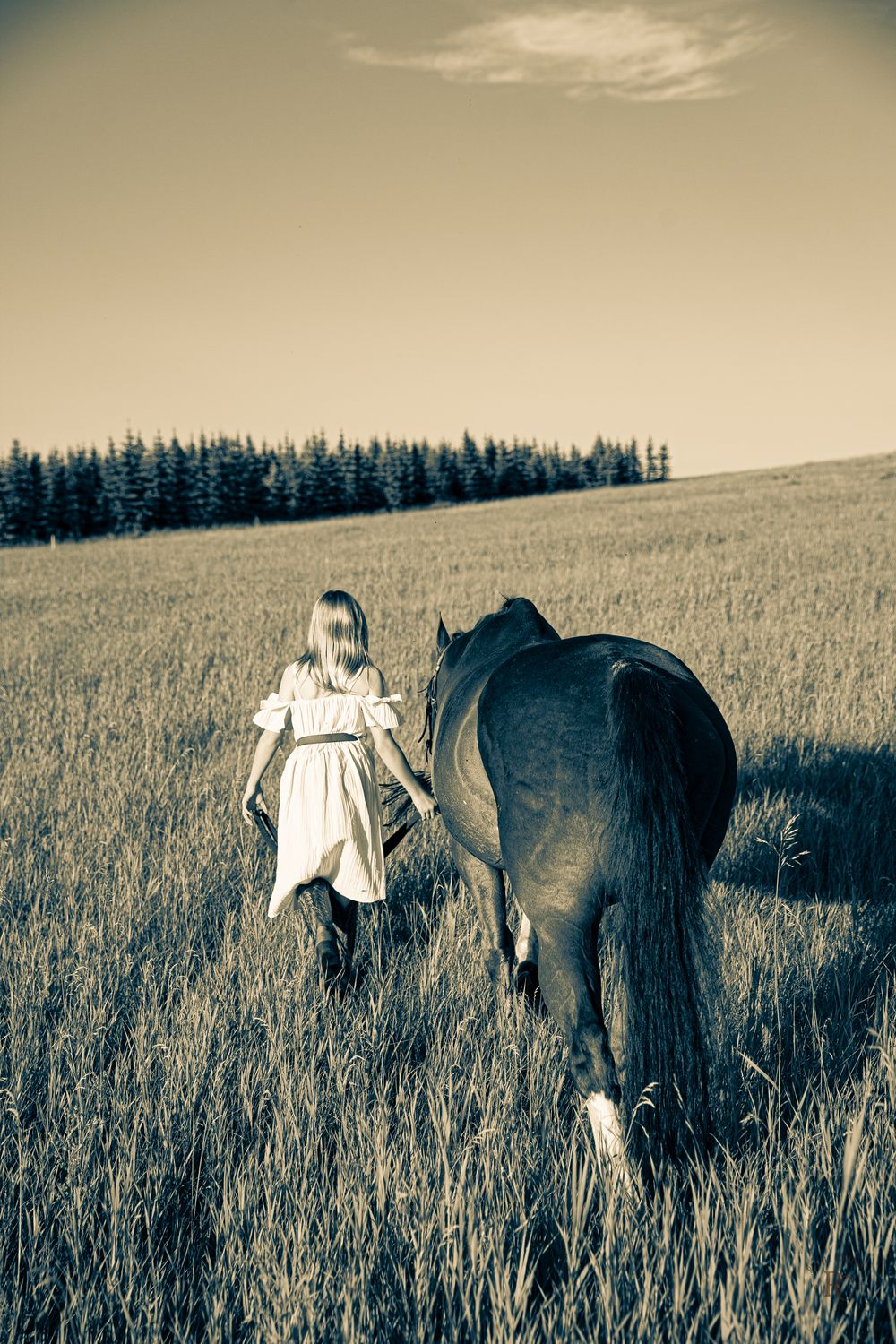 A young girl in a white dress walking through a grassy meadow alongside a dark horse in a dramatic sepia-toned landscape.