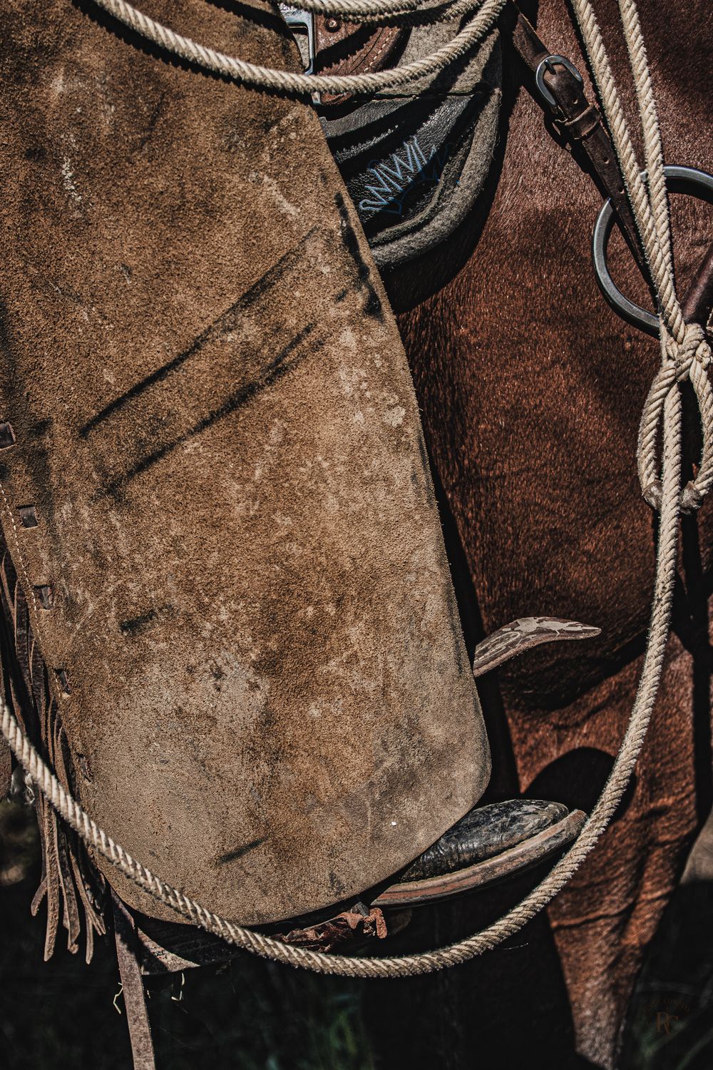 Close-up detail of a weathered leather chaps with white rope or lariat attachments creating a rustic western texture.