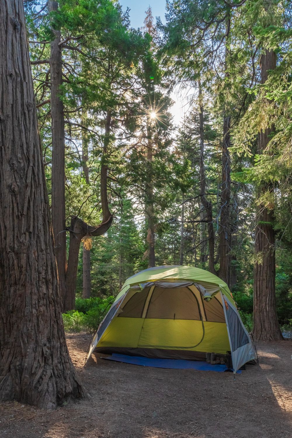 Camping in Arrowhead, CA.  #eventphotography #familyphotographer #photographer #portraitphotographer #landscapephotography