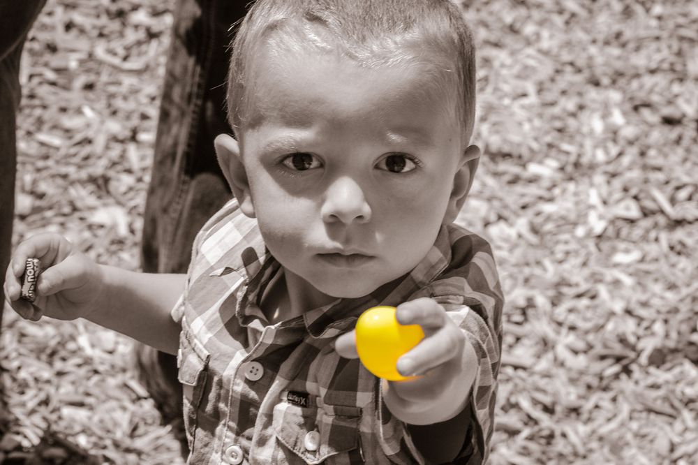 Easter and the golden egg. #eventphotography #familyphotographer #photographer #portraitphotographer