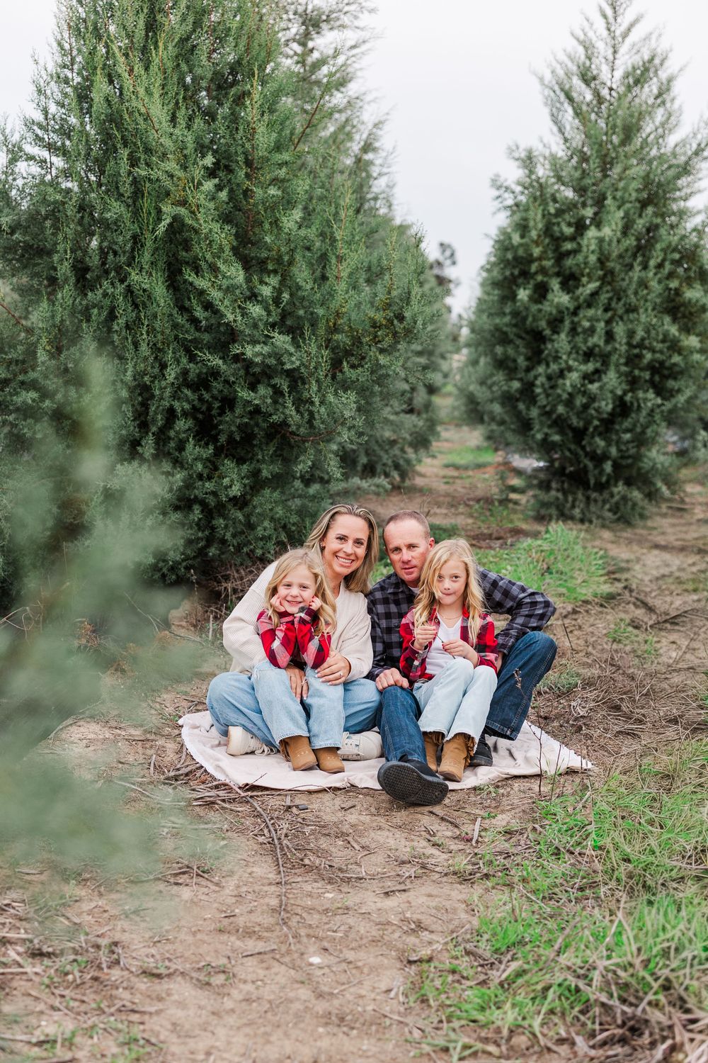 Family relaxing together on blanket among evergreen trees at Christmas tree farm during outdoor photoshoot.