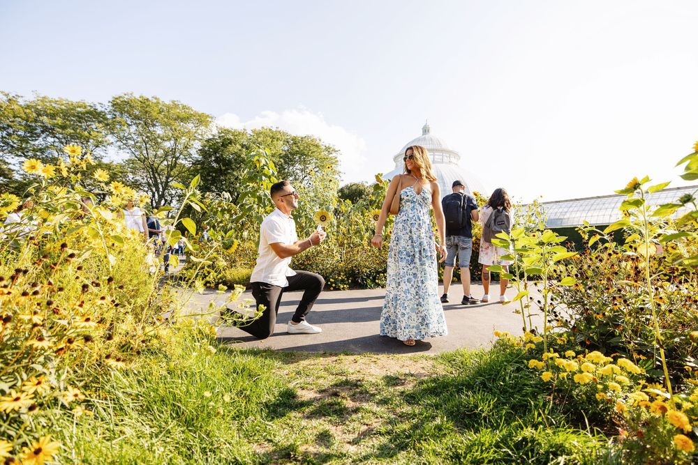 A romantic outdoor photoshoot in a sunflower field on a bright sunny day.