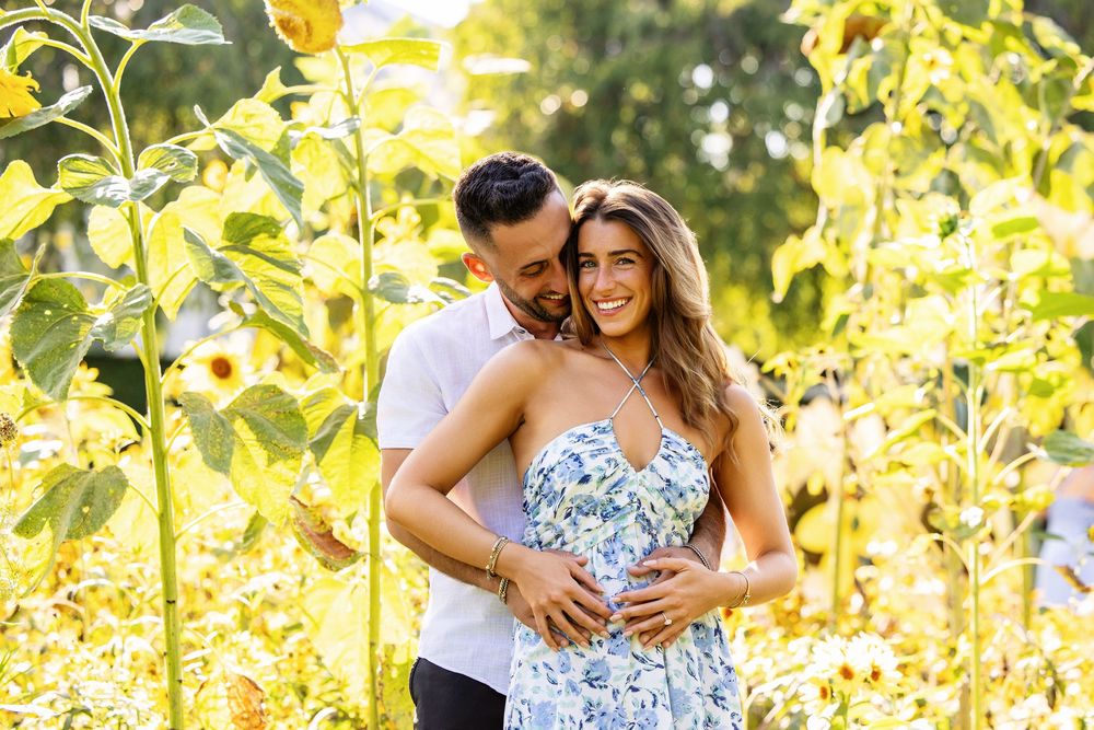 Couple embracing among blooming sunflowers in golden afternoon light.
