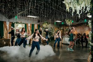 Party guests dance energetically on a foggy dance floor under hanging greenery.