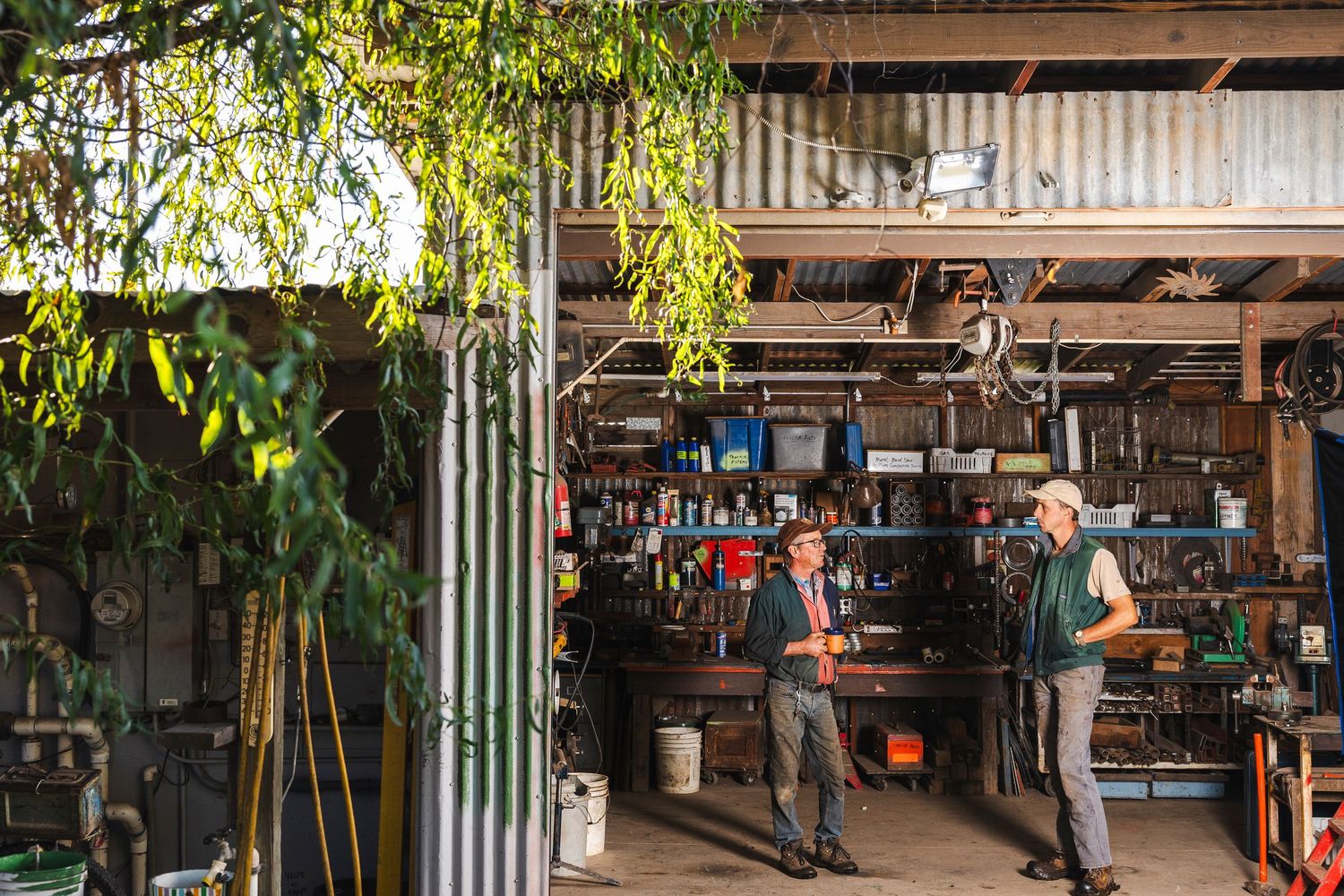 A rustic workshop interior with wood beams, hanging plants, and natural lighting through large windows.
