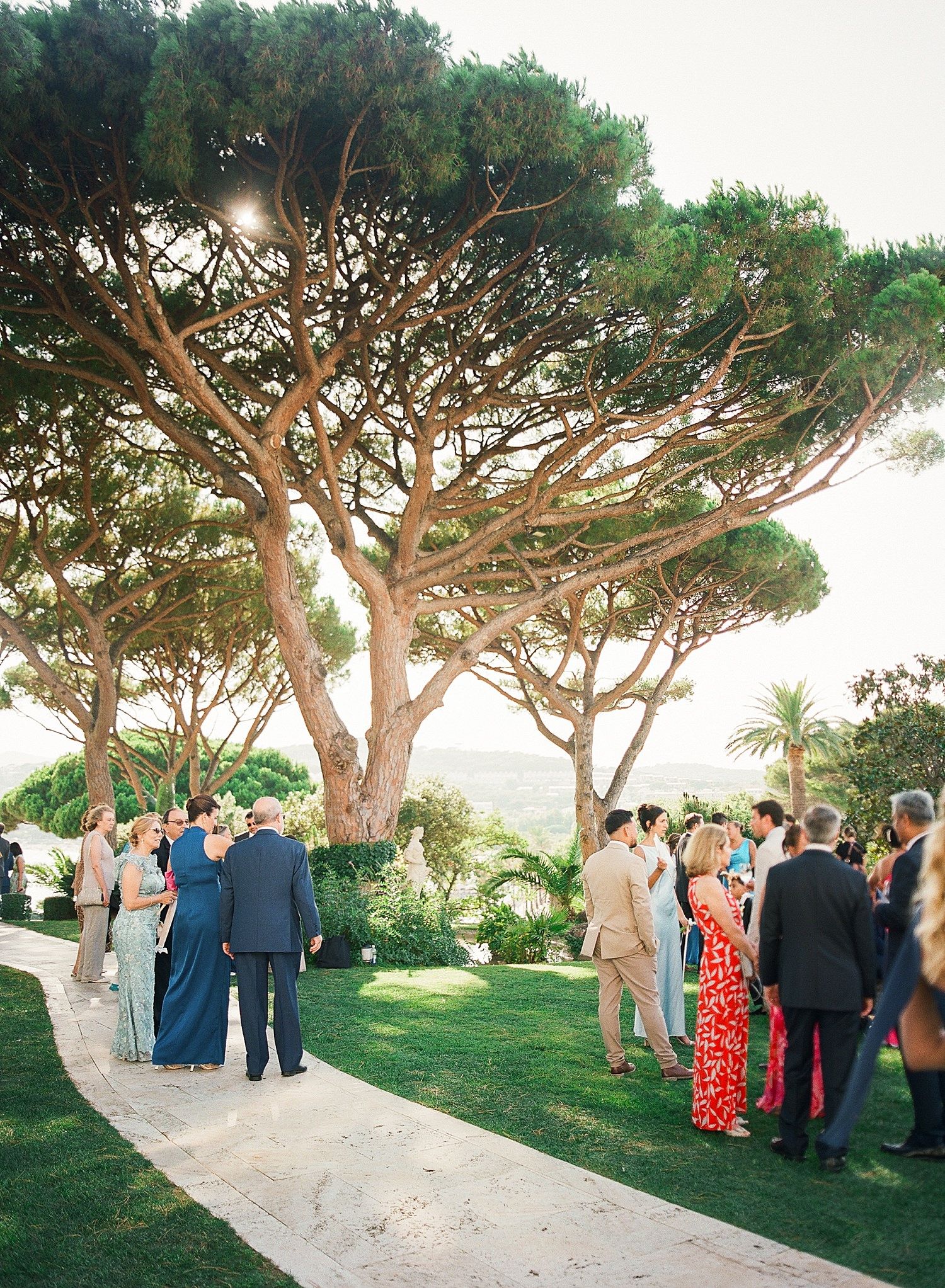 Wedding guests gather under large Mediterranean pine trees on a scenic hillside path during an outdoor celebration.