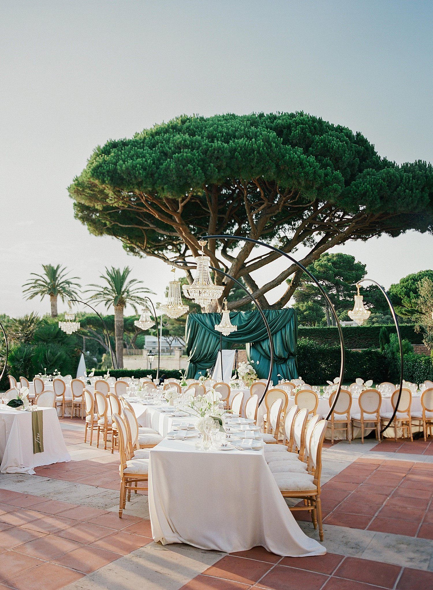 Outdoor terrace wedding venue with long dining tables and rustic chairs set beneath towering umbrella pine trees.